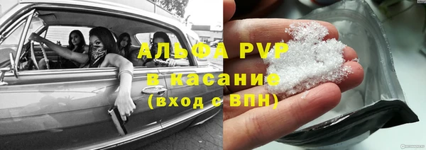 индика Аркадак