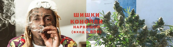 дурь Белокуриха