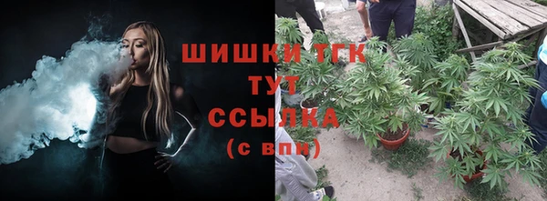 прущие грибы Касимов