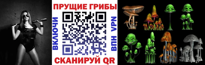 Галлюциногенные грибы ЛСД  это состав  Улан-Удэ  цены наркотик 