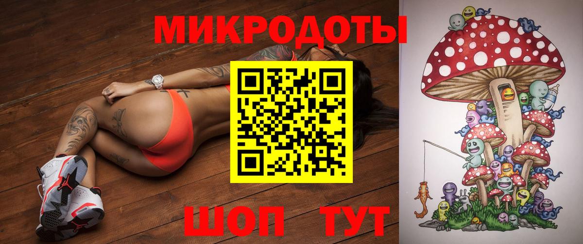 Псилоцибиновые грибы Psilocybe Улан-Удэ
