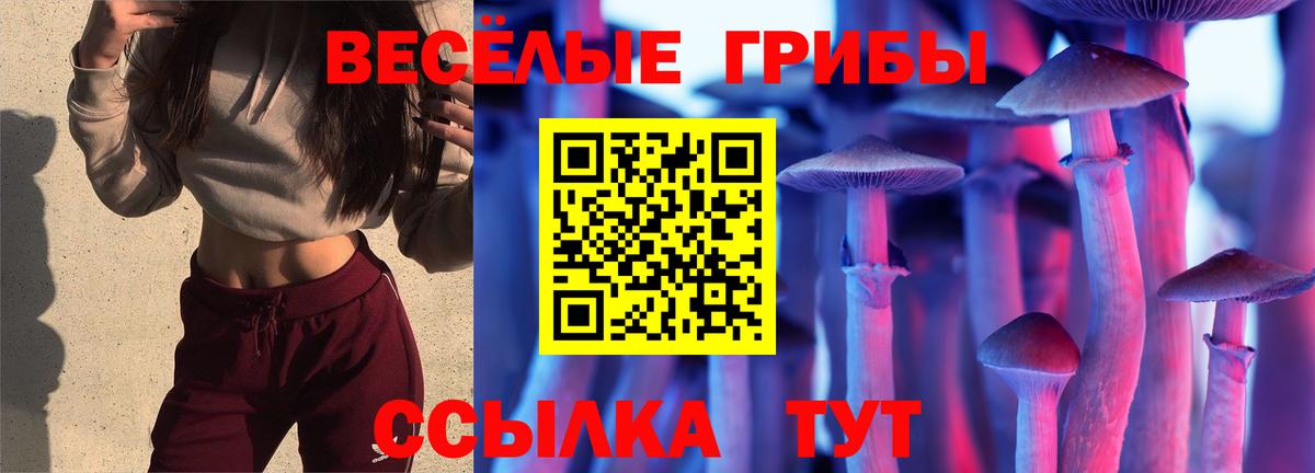 Улан-Удэ  Псилоцибиновые грибы MAGIC MUSHROOMS  Вход с VPN 